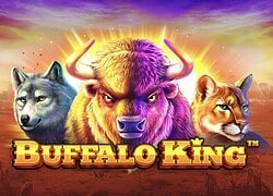 Buffalo King CrownPlay Casino Slot  CrownPlay Casino Online