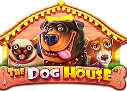 Dog House CrownPlay Casino Game  CrownPlay Casino Online
